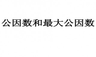 公因数是什么 公因数的介绍