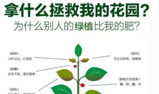 硫酸钾肥料的作用 硫酸钾肥料介绍