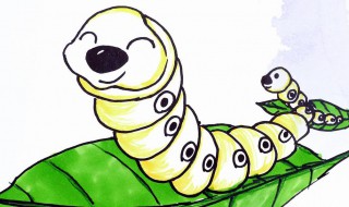 蚕蛹的正确抽丝方法 蚕茧怎么抽丝?