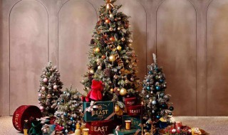 做大圣诞树的方法 做大圣诞树的方法介绍