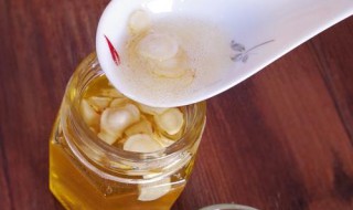 人参泡蜂蜜的制作方法 蜂蜜泡人参的做法