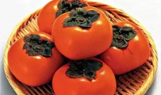 柿子酿酒方法 柿子酿酒方法介绍