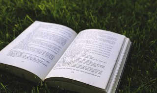 有关秋风的诗句 关于秋风的诗句有哪些?