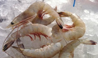 虾怎么剥壳 剥壳虾方法