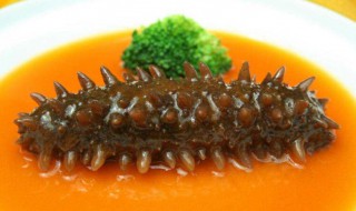 怎么吃海参 海参的做法