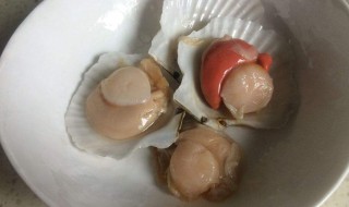 扇贝怎么清理 扇贝的清洗方法