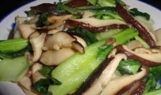 青菜怎么做养胃 养胃青菜做法