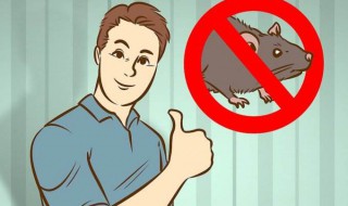 梦见杀死老鼠是什么意思 梦见杀死老鼠预示着什么