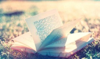 红颜知己是什么意思啊 红颜知己释义