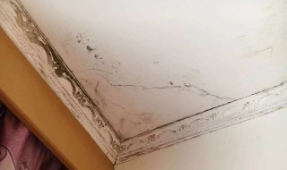 墙面潮湿发霉怎么办 墙面潮湿发霉的处理方式