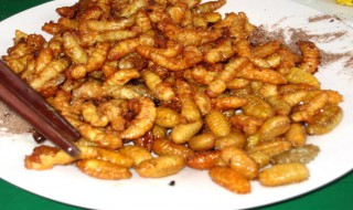 蜂蛹怎么吃 蜂蛹的吃法介绍