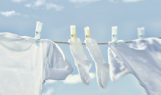 白t恤怎么洗才不发黄怎么办 清洗发黄白t恤的方法