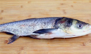 清炖白鲢的方法 怎样清炖白鲢