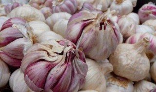 蒜的种植方法和时间 蒜如何种植