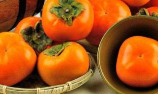 柿子的储存方法 柿子的储存方法有哪些