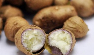 山药豆的食用方法 怎样食用山药豆