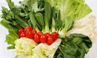 青菜怎么洗才没有农药 有哪些小窍门