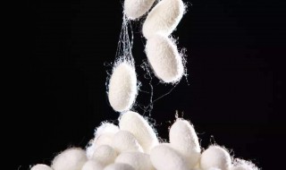 桑蚕丝怎么洗才不会缩水 桑蚕丝你知道要这样洗吗