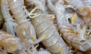 皮皮虾水煮方法 煮虾的方法介绍