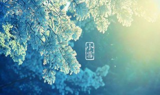 小雪节气的唯美句子 描写小雪节气的短句