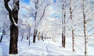 梦到下雪是什么意思 梦到下雪的寓意