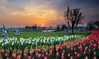 100%热门的文案 100%热门的文案推荐