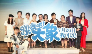 跳舞吧大象演员表 跳舞吧大象演员介绍