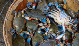 螃蟹未绑怎么蒸才正确 螃蟹未绑的正确蒸法