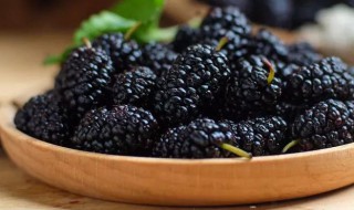 桑葚怎么泡水喝正确 桑葚泡水喝正确的方法