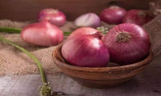 种植洋葱方法 介绍种植洋葱的方法