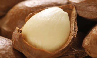 手剥银杏方法 怎样剥出银杏果的果实？