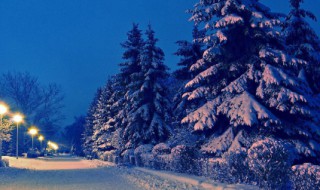 小雪节气的寓意 小雪的风俗