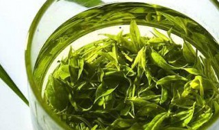 泡绿茶的方法步骤 怎么泡绿茶