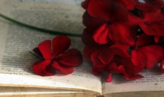 加油句子表达心情说说 自己加油句子说说心情