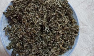 干艾叶怎么保存才放得久 干艾叶的用处