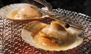 扇贝如何清洗怎么保存 扇贝的清洗方法和保存方法