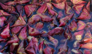 刚采摘的菱角怎么保存 鲜菱角保存方法