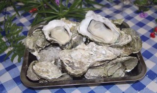 运输生蚝怎么保存新鲜 运输生蚝如何保存新鲜