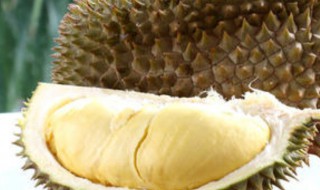 榴莲施肥方法 榴莲如何施肥