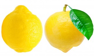 柠檬助眠正确方法 希望失眠的小伙伴们也可以拥有一个好的睡眠