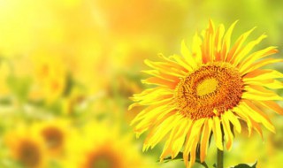 充满能量的句子 充满能量的句子有哪些