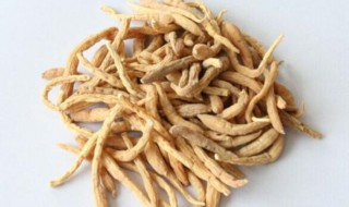 太子参怎么吃 太子参的吃法