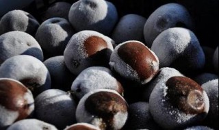 冻梨怎么吃 怎样吃冻梨