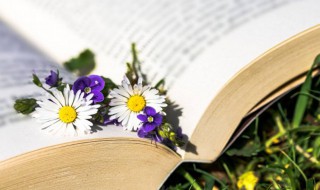 与友情有关的成语 与友情有关的成语有什么