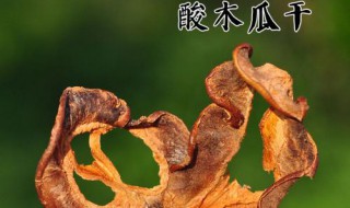 如何做酸木瓜片干 酸木瓜片干功效与作用介绍