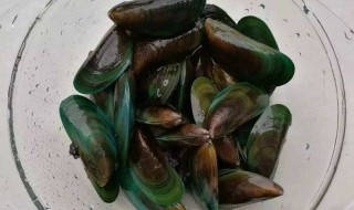 青口的烹饪方法 青口的简单烹饪方法