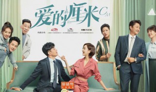 爱的厘米演员表 哪些演员出演这部剧