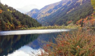 有关秋游的优美句子 有关秋游的优美句子有哪些