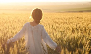 有关回忆的优美句子 有关回忆的优美句子有哪些