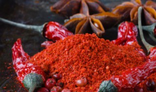 辛辣刺激的辛是指什么 辛辣刺激的辛意思简述